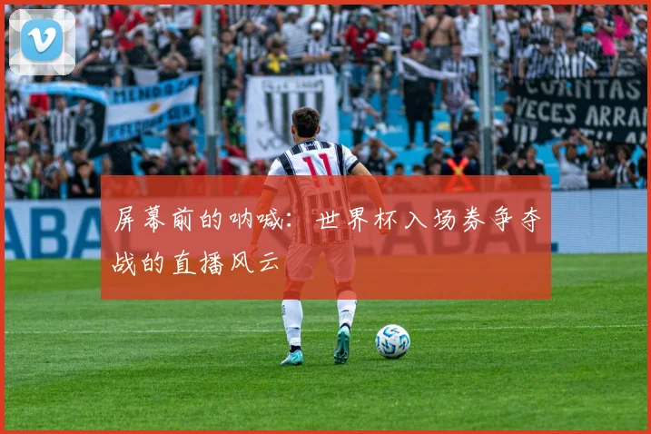 屏幕前的呐喊：世界杯入场券争夺战的直播风云