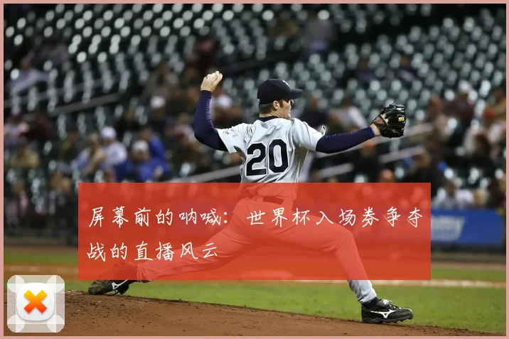 屏幕前的呐喊：世界杯入场券争夺战的直播风云