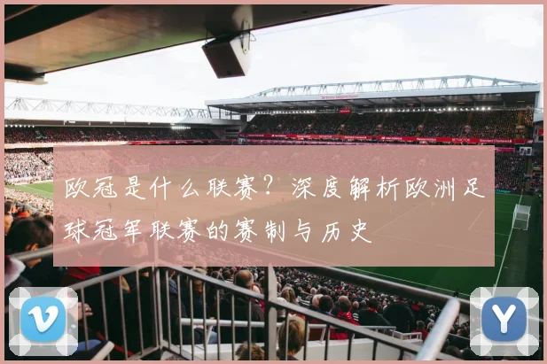 欧冠是什么联赛？深度解析欧洲足球冠军联赛的赛制与历史