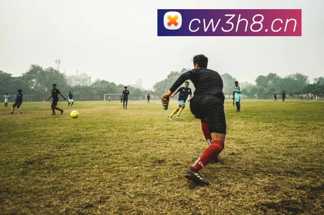 米兰网页版官网入口APP 封面图